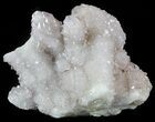 Cactus Quartz (Amethyst) Crystals - South Africa #47183-1